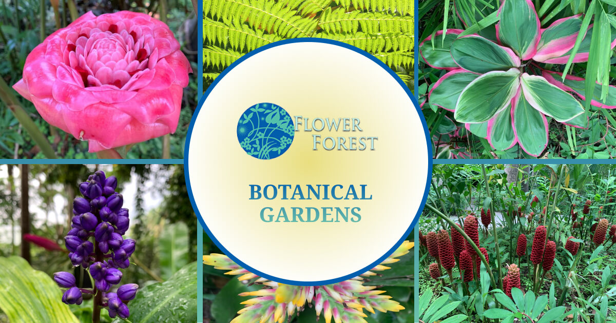 flower forest barbados